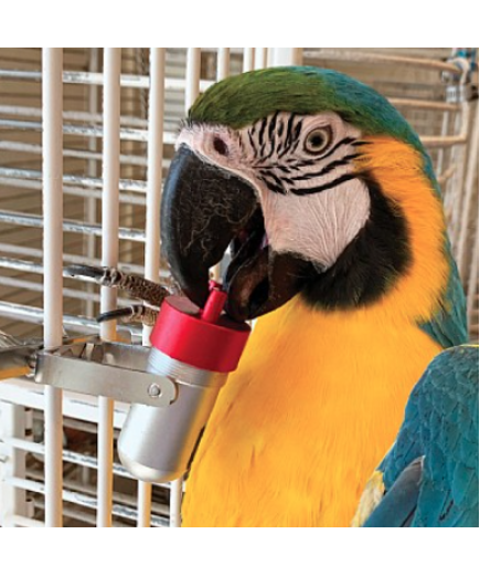 The Goodie Gadget Foraging Puzzle Parrot Toy